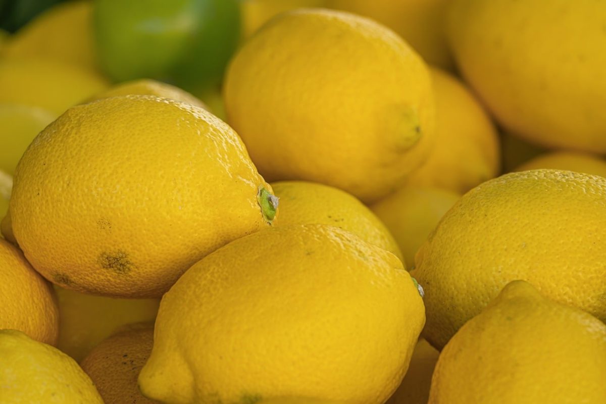 lemon, nature, yellow, fruit, market, lemon peel, fresh, kitchen, ingredient, vitamin c, tart, juice, ripe, agriculture, health, natural, garden, green, aroma, consumption, antioxidant