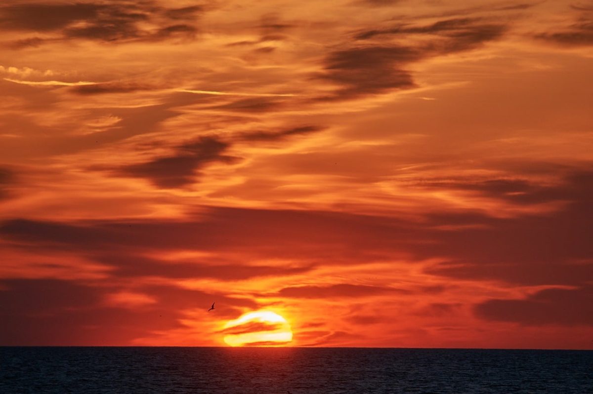 sunset, sea, sky, red, orange, cloud, nature, landscape, horizon, evening, calm, west, summer, idyll, crystal clear, peaceful, reflection, beauty, light, twilight, photography