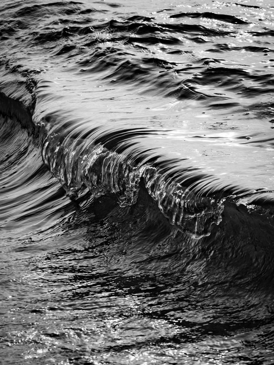 wave, sea, ocean, nature, water, splash, beach, surf, landscape, seascape, black and white, glassy, crystal, transparent, summer, aesthetic, calm, texture, reflection, movement, moisture