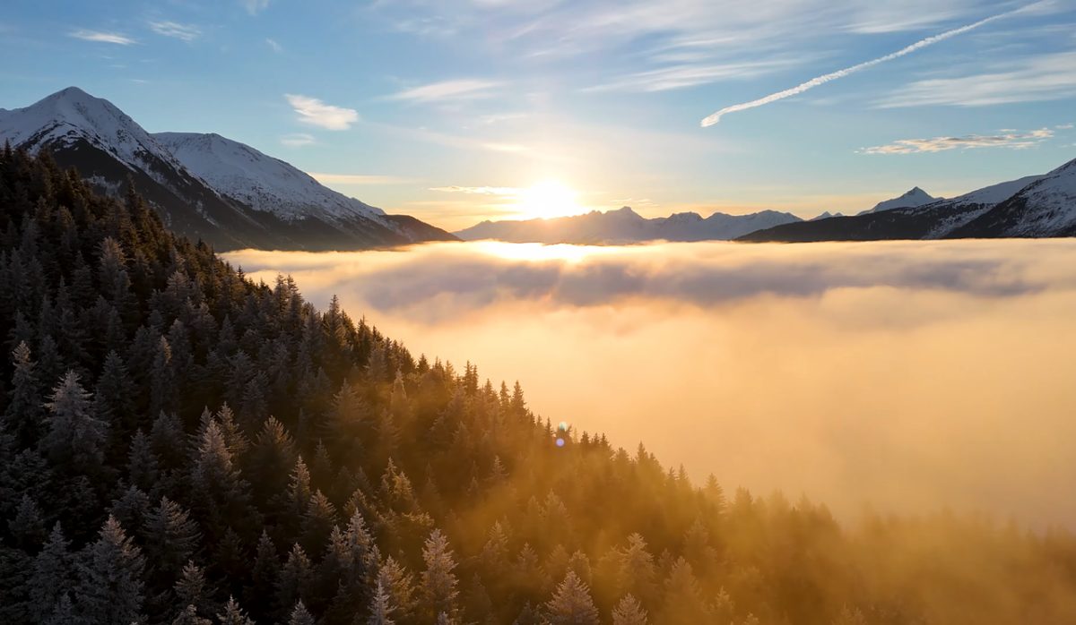 sunrise, golden hour, fog, cloud inversion, valley, mountain range, snow, winter, pine trees, forest, aerial view, drone view, landscape, nature, scenic, outdoors, east, mountains, view, magical, sunset