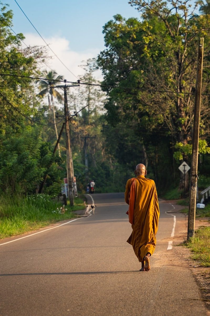 pedestrian, monk, road, portrait, nature, shadow, countryside, trees, jogging, solitude, outdoor, foliage, warm, loneliness, peaceful, trail, dawn, sidewalk, early morning
