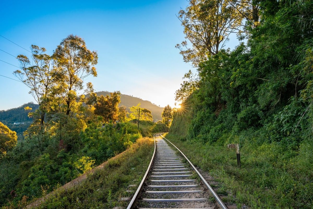 railway track, sun, sunset, landscape, forest, nature, railway, path, railway route, railway curve, railroad line, railway setting, railway construction, railway station, railway infrastructure, railway bridge, railway facility, winter railway, railway tracks