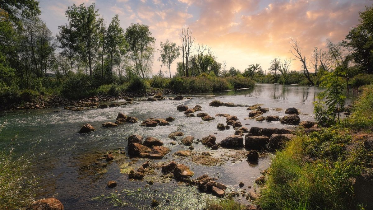 nature, river, rocks, sunset, trees, reflection, calm, summer, orange sky, natural view, calm water, natural beauty, rural, tranquil place, green, afternoon, raging river, wild river, peace
