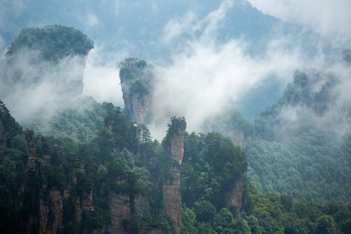 mountains, fog, cliffs, trees, nature, forest, landscape, green, misty scenery, dense forest, national park, asia, breathtaking, dark sky, tropical, rainforest, wulingyuan mountains, unesco world heritage, stunning view