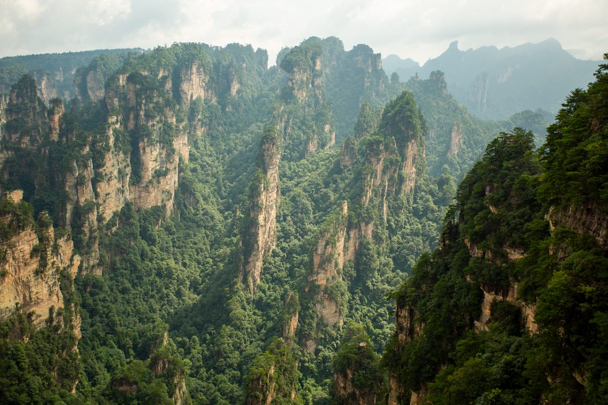 cliff walls, rainforest, zhangjiajie, rock formations, mountains, natural beauty, tourist attraction, national park, dense vegetation, foggy view, ecosystem, adventure, china, panorama, adventurous tourists, volcanic activity, nature, mountain range, wilderness, clouds, hiking
