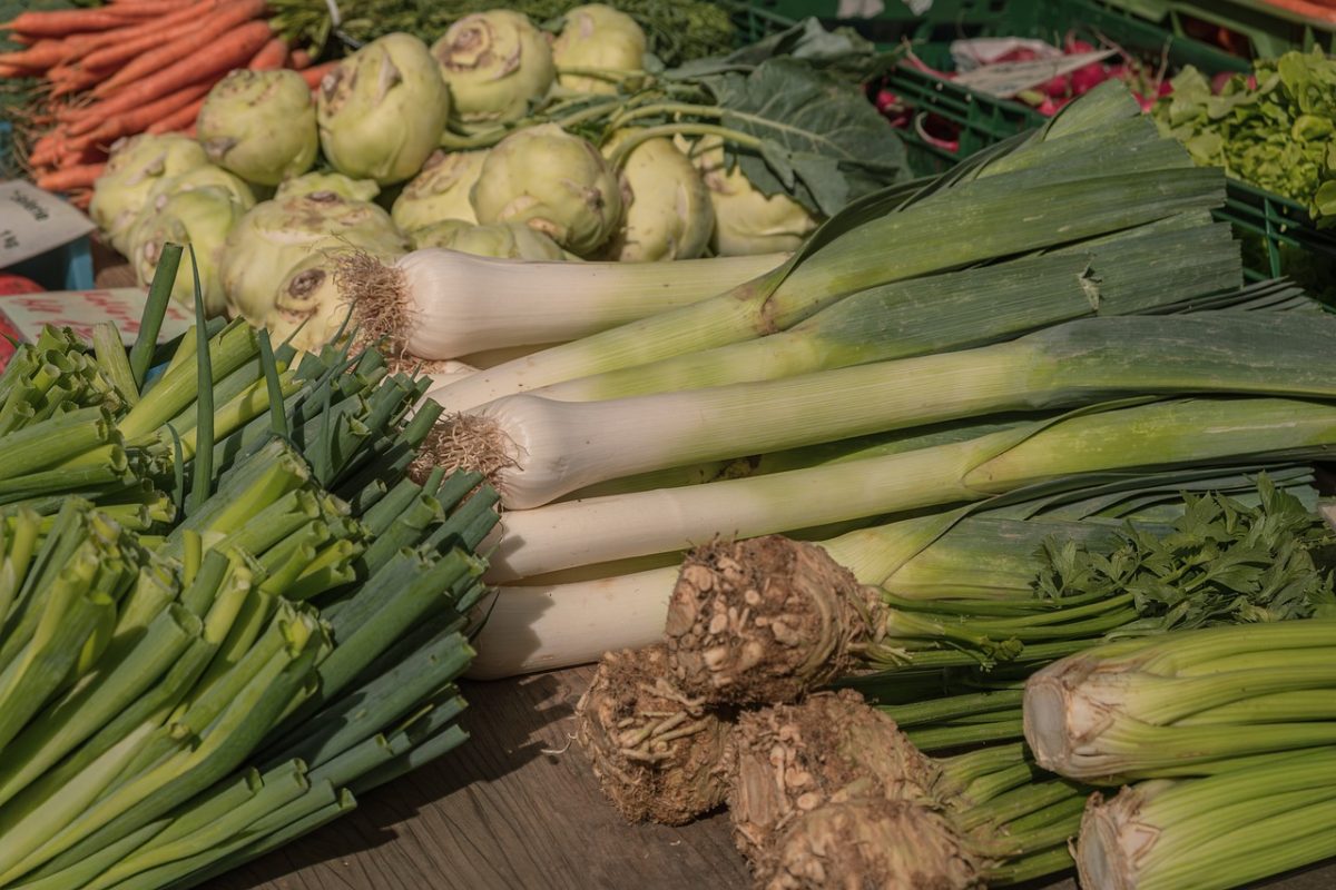 vegetables, market, leek, celeriac, farmers market, fresh, kohlrabi, carrot, leafy greens, healthy eating, natural, productive farming, agriculture, green, harvest, colorful, agricultural, root vegetables, scallion, farm fresh