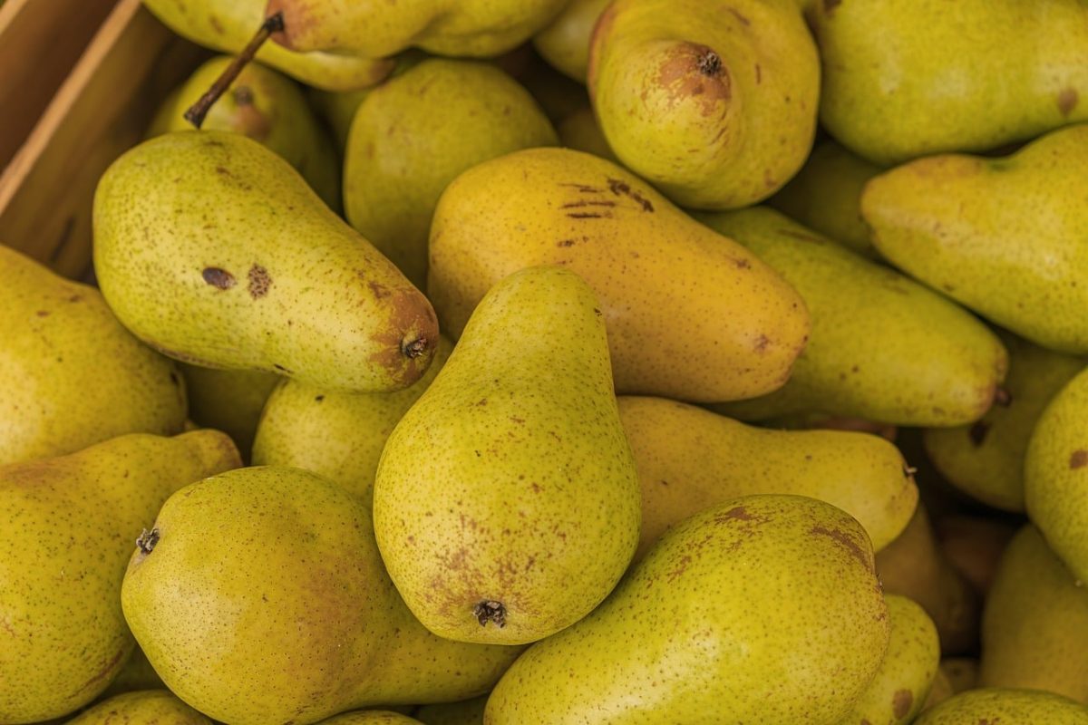 pear, fruit, harvest, green, ripe, fresh, box, sale, agriculture, food supply, natural, farmers market, vitamins, private, yellow, vitamin c, antique, sowing, market, bulk