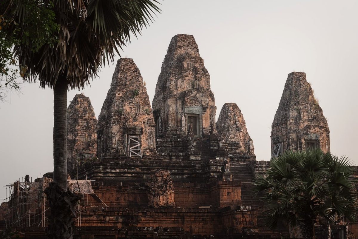 temples, angkor wat, cambodia, architecture, decoration, palms, silhouette, nature, asian, stone carvings, tropical, historical sites, monuments, world heritage site, soft light, historic restoration, ancient ruins, ornamental, unesco sites