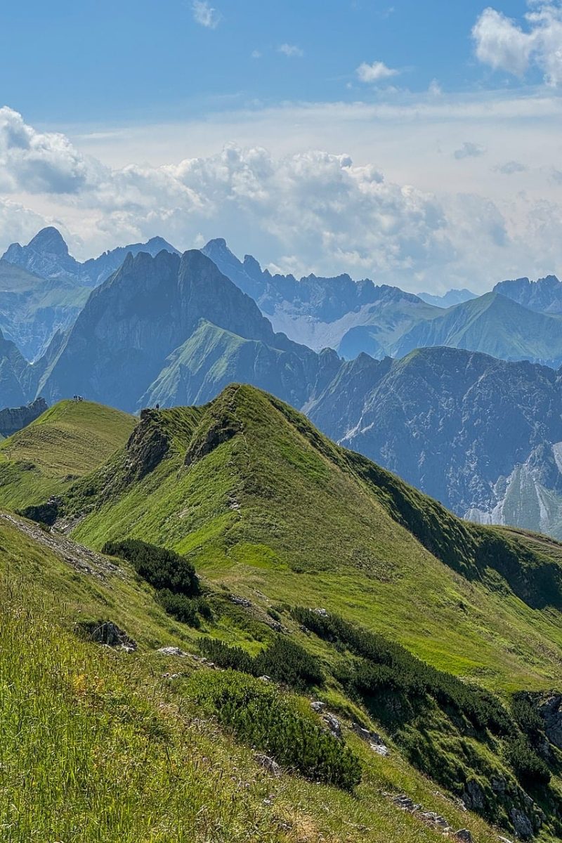 mountains, peaks, alps, hiking, nature, landscape, moss, sky, clouds, sun, alpine flower, panorama, grass, hiking trail, sunlight, excursion, summer, view, highland, tourism