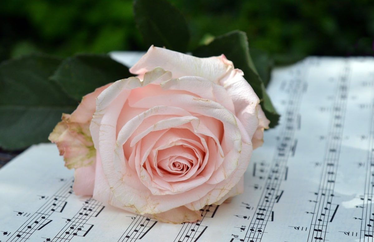 rose, sheet music, floral background, mac wallpaper, music, love, romance, flower wallpaper, flower, rose flower, full hd wallpaper, flower background, music notes, beautiful wallpaper, wallpaper 4k, cool backgrounds, desktop backgrounds, melody, artifact, background, decoration, creativity, hd wallpaper, wallpaper hd, art, windows wallpaper, nature, laptop wallpaper, free background, free wallpaper, beautiful flowers, 4k wallpaper 1920x1080, handwritten, nature motif, artistic, 4k wallpaper, inspiration, soft pink