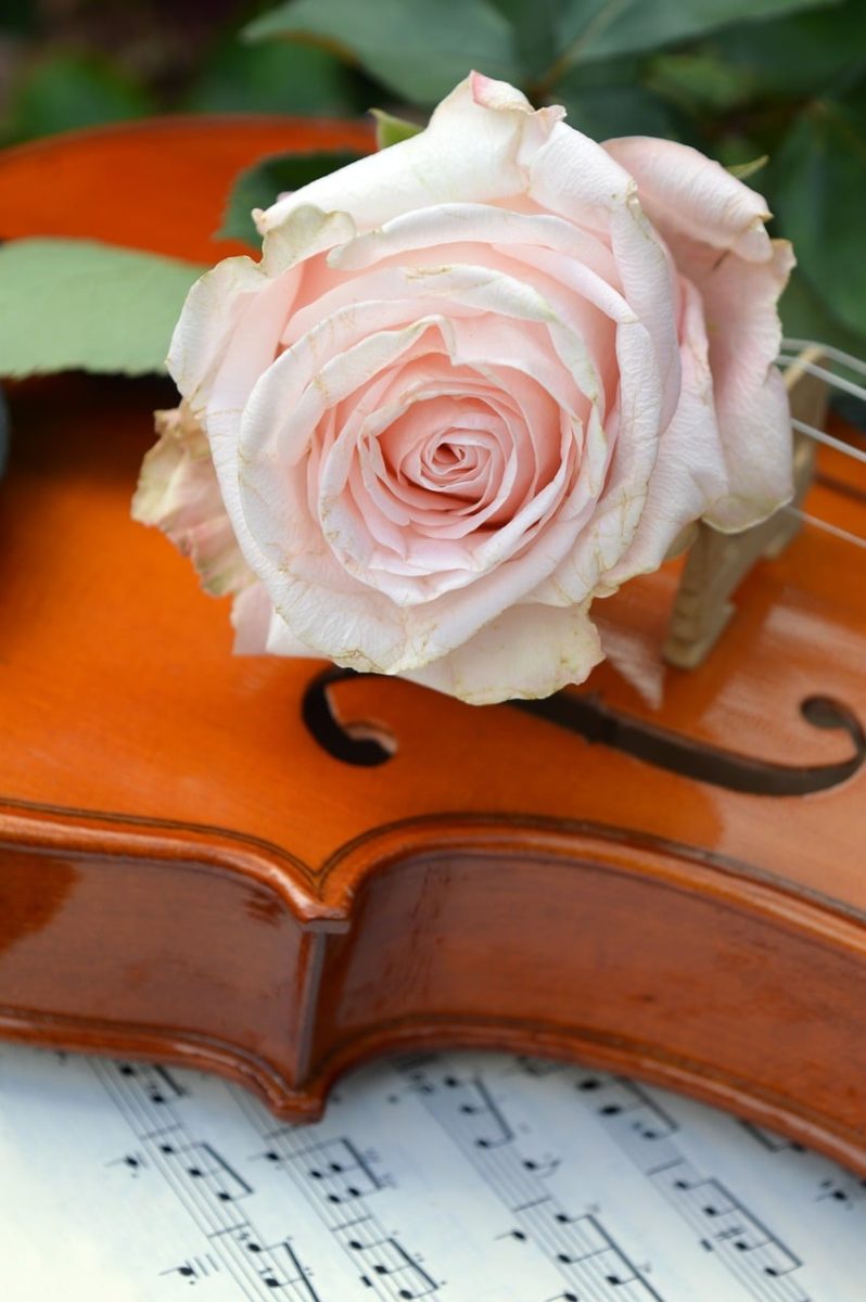 rose, violin, music sheet, beautiful flowers, music, romantic, flower, classical music, string instrument, melody, flower background, sheet music, nature, flower wallpaper, musical instrument, concert, love song, violin music, luxury, love for music, romantic atmosphere, rose flower, happy birthday, artistic