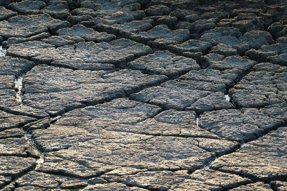 dry soil, free background, laptop wallpaper, cracked earth, mud cracks, desktop backgrounds, texture background, wallpaper hd, drought, arid landscape, sunbaked mud, pattern, cool backgrounds, dry conditions, wallpaper 4k, ecology, mac wallpaper, dry areas, full hd wallpaper, 4k wallpaper 1920x1080, climate change, windows wallpaper, beautiful wallpaper, ecosystem, background, 4k wallpaper, natural phenomena, waterless, hd wallpaper, natural textures, soil erosion, free wallpaper, natural pattern
