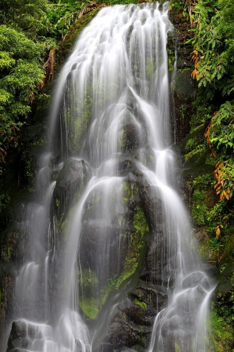 waterfall, nature, forest, rocks, moss, damp, green, peaceful, flowing, moisture, fern, water, time, photography, fresh, calm, serene, energy, renewal