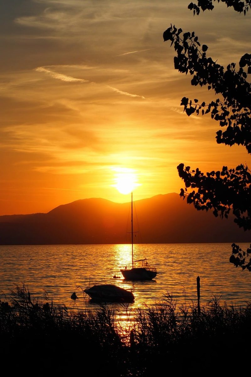sunset, lake, boat, water, reflection, nature, tree, romantic, sky, summer, evening, silhouette, landscape, sun, tranquility, phone wallpaper, autumnal, view, twilight, where