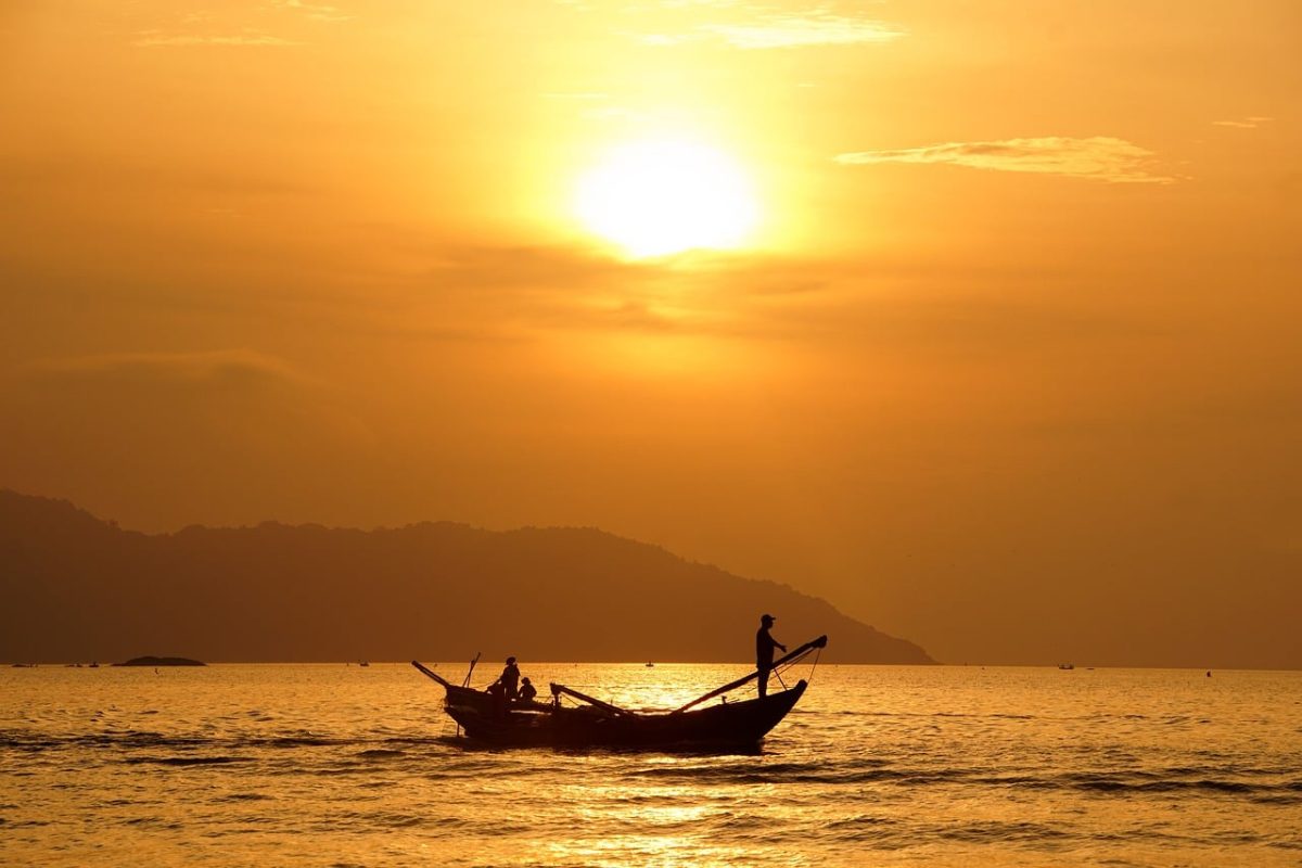 sunrise, boat, dawn, silence, nature, horizon, sea, landscape, travel, spear, fishing, paddle, summer, reeds, calm, beach, row, skiff, person, motorboat