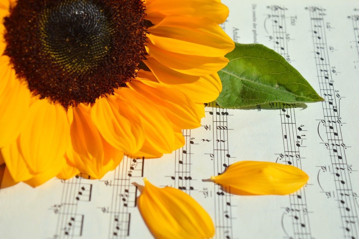 sunflower, sheet music, flower, autumn, leaf, yellow color, petal, art, decoration, melody, inspiration, texture, aesthetic, composition, emotional, background, decorative, feeling, tablature, symbol, paper