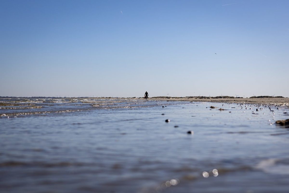 coast, beach, sea, sand, waves, water, nature, pollution, waste, litter, trash, many, motion, peace, solitude, person, walking, cleaning, end