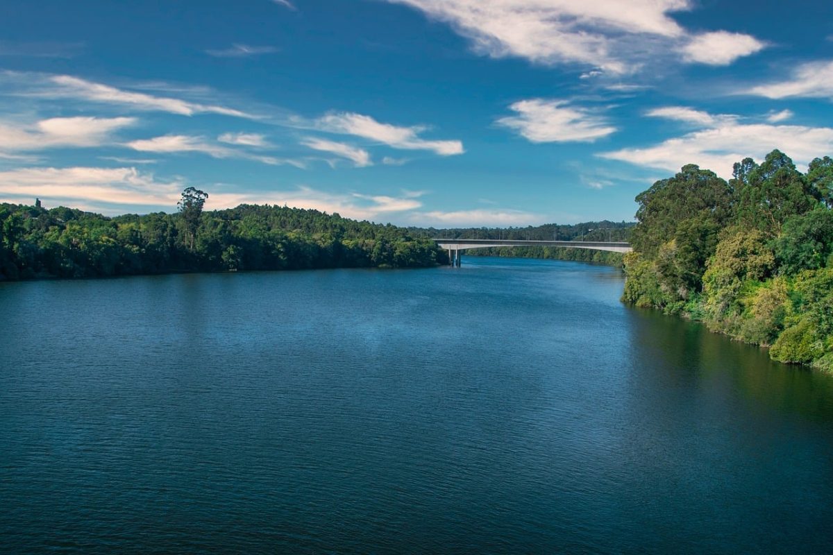 river, bridge, forest, nature, blue sky, vegetation, breathtaking, summer landscape, shoreline, horizon, miño, galicia, hiking, reflection, calm, waterbody, clouds, narrow stream, spanish river