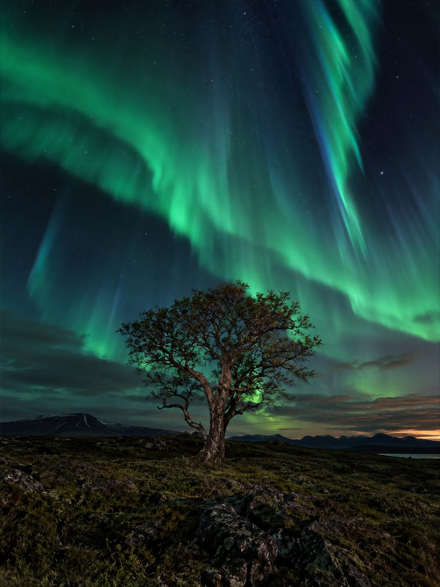 aurora, northern lights, night sky, tree, landscape, stars, starry sky, night landscape, nature, mountain, wilderness, outdoors, landscape photography, night photography, long exposure, dark sky, scenic, serene, dramatic sky, natural beauty
