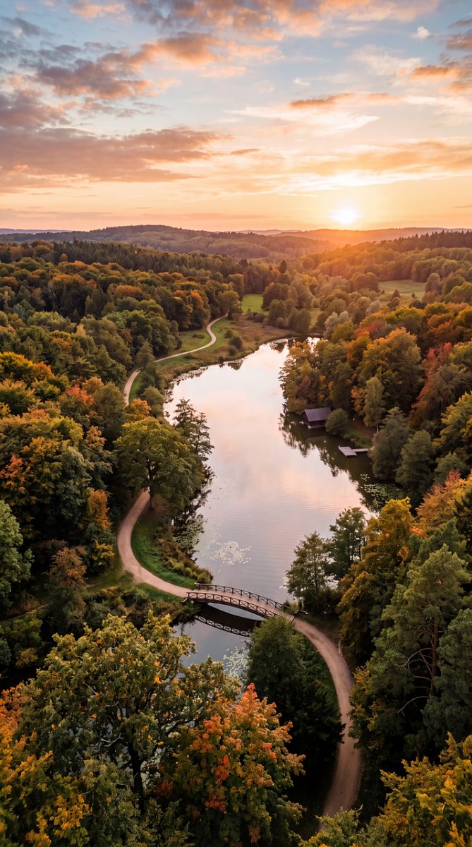 nature, landscape, forest, river, tree, bridge, path, sunrise, autumn, lake, peaceful, natural, scenery, park, dawn, water, road, recreational, autumn colors