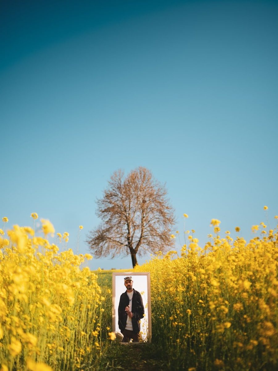 nature, mirror, tree, field, yellow, person, clear sky, meadow, man, landscape, rural, standing person, art, reflection, autumn, sun, lonely, creativity, harmony, self-reflection