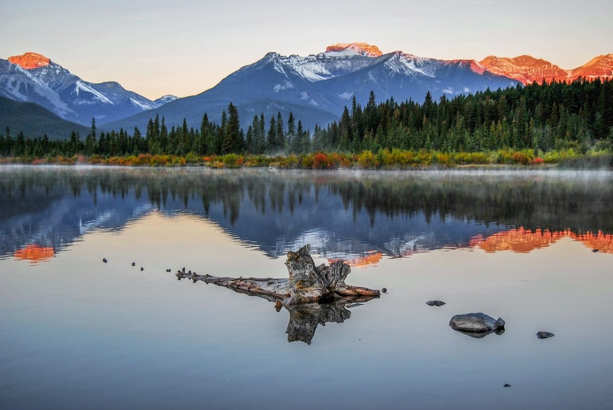 banff, banff national park, vermilion lakes, canadian rockies, reflection, sunrise, mountains, lake, autumn, nature, landscape, alpenglow, patches of mist, forest, alberta, peaceful, driftwood, snow-capped mountains, canada, scenic