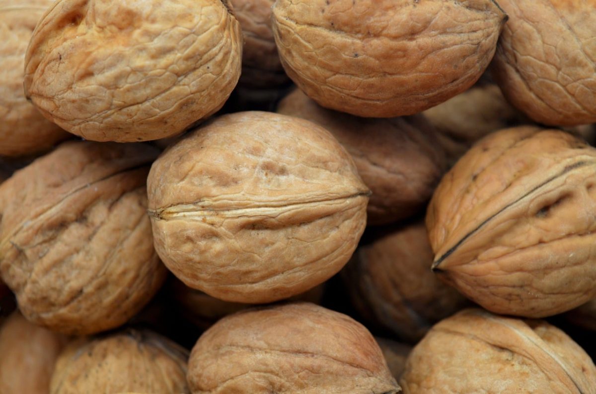 walnuts, desktop backgrounds, nut, snack, free wallpaper, wallpaper 4k, windows wallpaper, healthy diet, close-up, beautiful wallpaper, wallpaper hd, natural, 4k wallpaper 1920x1080, organic, free background, autumn, cool backgrounds, bio, 4k wallpaper, nut shell, laptop wallpaper, mac wallpaper, kernel, tasty, flavorful, festive, christmas, full hd wallpaper, hd wallpaper, nutrition, preservation, unsaturated fats, real walnut, background