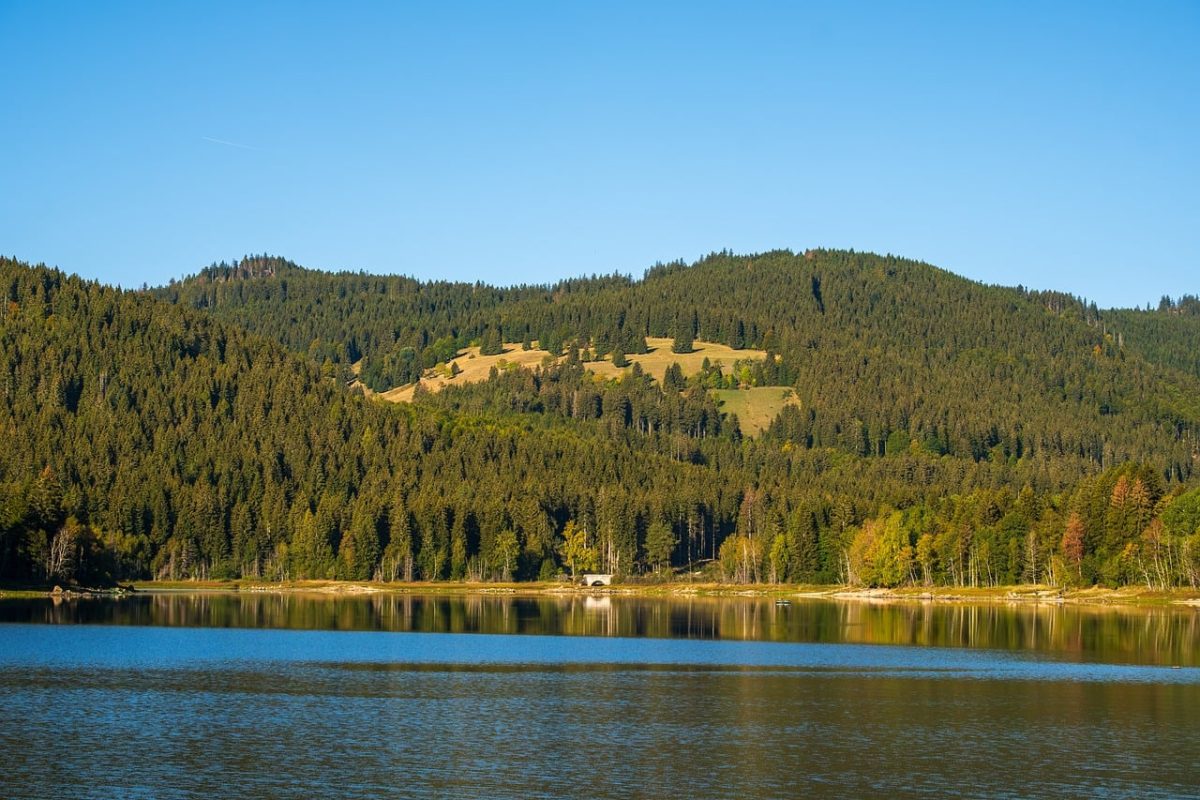 lake, forest, mountains, nature, reflection, tranquility, autumn, green, blue sky, eastern europe, recreation, calm water, hiking, view, summer day, cabin, sunny, few clouds, relaxation, wooden structure