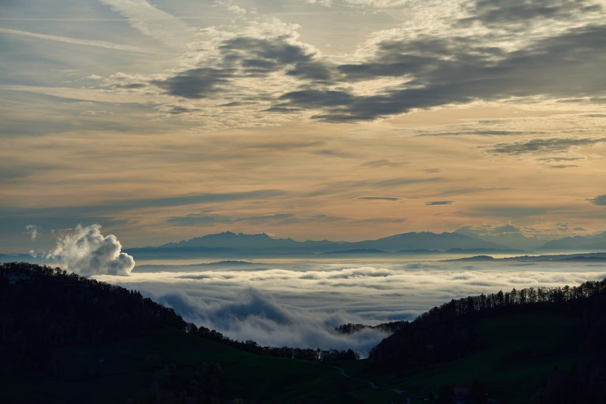 forest, mountains, morning, fog, sky, sunset, sun rays, dawn, view, landscape, nature, fresh air, panorama, daybreak, travel, cloud running, distance, atmosphere, romance, relaxation