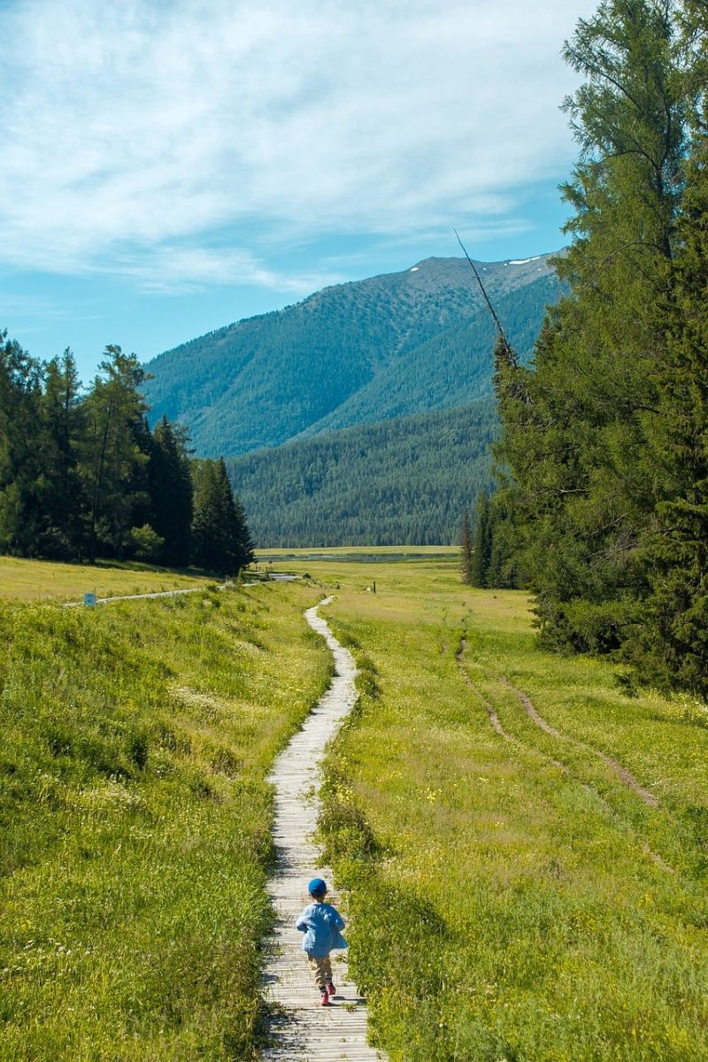 child, wooden boardwalk, nature, mountain landscape, meadow, forest, nature landscape, hiking, grass, travel, family, summer day, china, blue sky, tranquility, adventure, nature's beauty, peaceful, nature reserve, green, cool breeze
