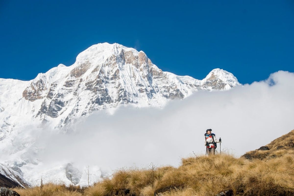 nepal, annapurna, mountains, snow, trekking, backpacking, outdoor adventure, sea of clouds, blue sky, pristine nature, shrubs, mountain view, alpine meadow, nature trip, nature, altitude, expedition