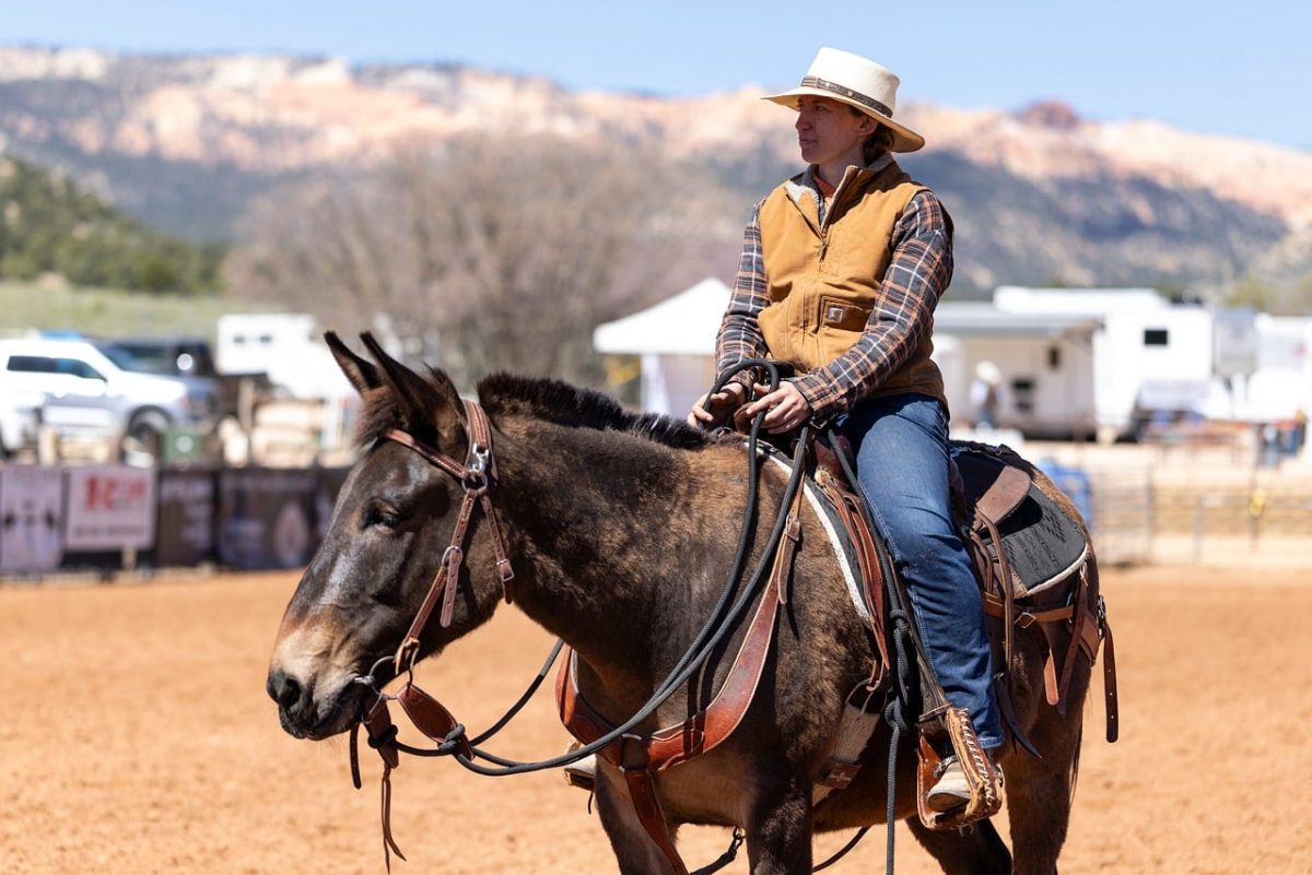 hat, mule, horse, rider, farm, cowboy, countryside, sun, landscape, street style, woman, lifestyle, nature, outdoor, casual, traditional, event, culture, lasso, west, people, United States, Tropic, Utah