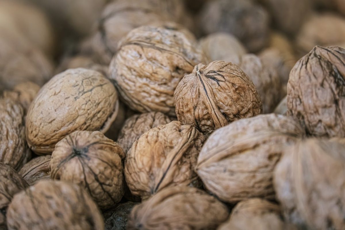 walnuts, shell, nuts, natural, health, nutrition, fruit, dried fruits, omega-3, vegetarian, snack, autumn, fall, protein, unsweetened, vegan, pantry, rustic