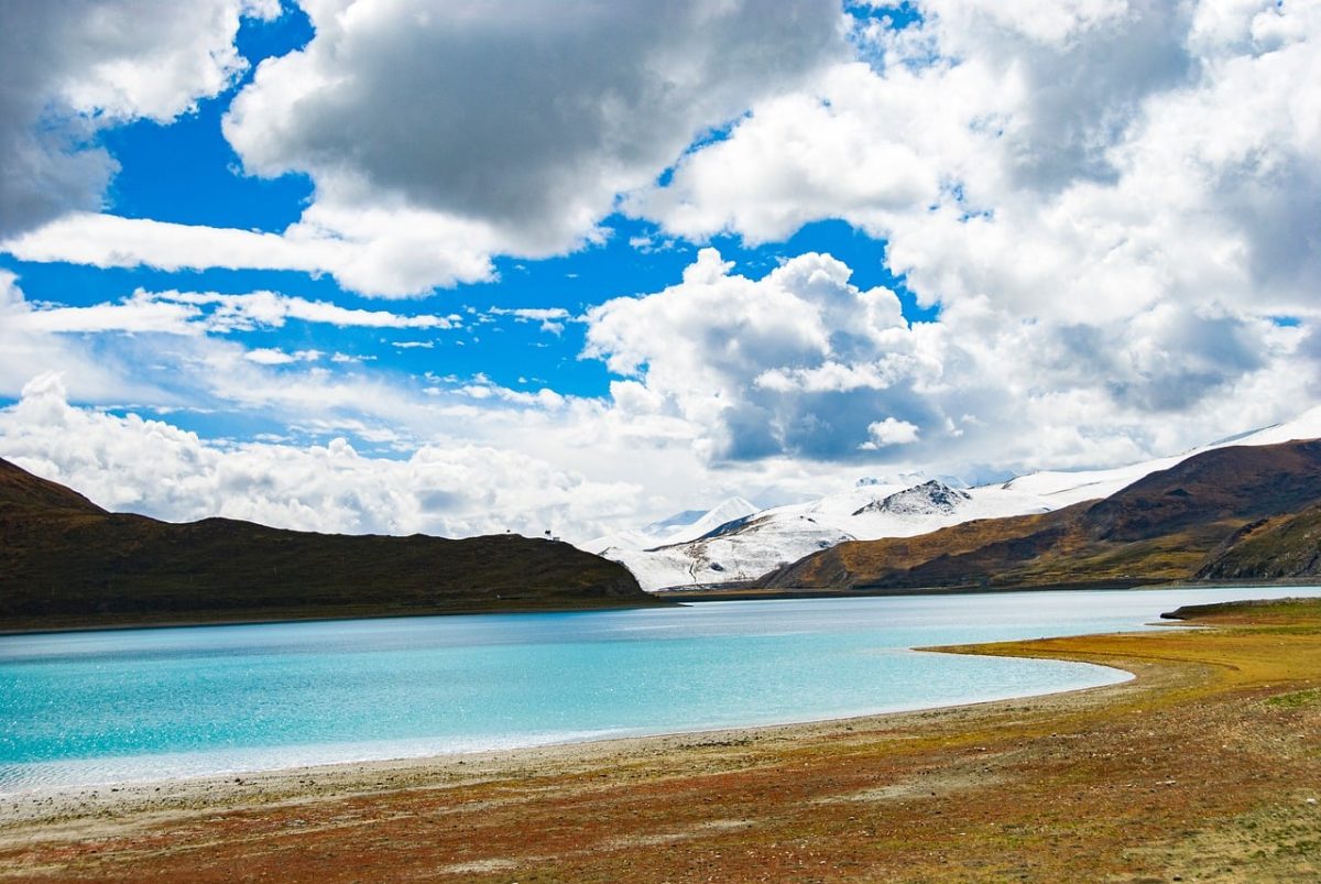 yamdrok lake, tibetan plateau, sacred lake, turquoise water, snow-capped mountains, lakeside shore, alpine grassland, blue sky, cumulus clouds, dramatic landscape, natural landscape, panorama, wild, exploration, tranquil, clean air, mountain region, vacation escape, peaceful atmosphere