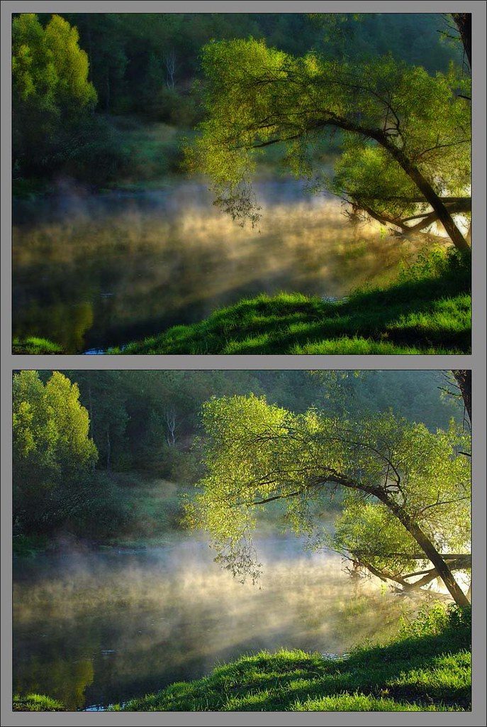 nature