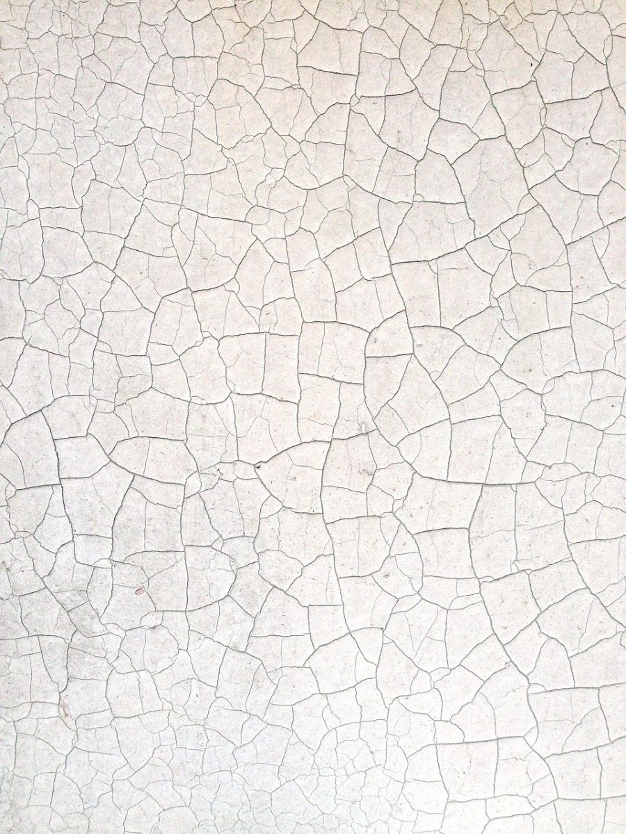 abstract, pattern, surface, texture, cracked, paint, dry, dried paint, cracks, white, phone wallpaper, iphone wallpaper, abstract, pattern, texture, texture, texture, texture, texture, phone wallpaper, phone wallpaper, phone wallpaper, United States, San Diego, California