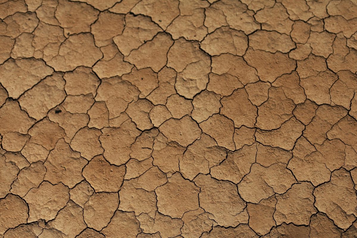 sand, desert, dryness, hot, dry, beige, brown, nature, morocco, africa, texture, cracks, drought, earth, broken up, cracked, sand, sand, sand, sand, sand, desert, desert, africa, africa, texture, drought, drought, earth, earth