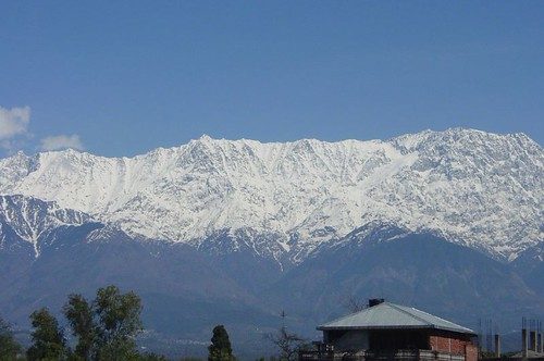 himachal, himalaya, nature