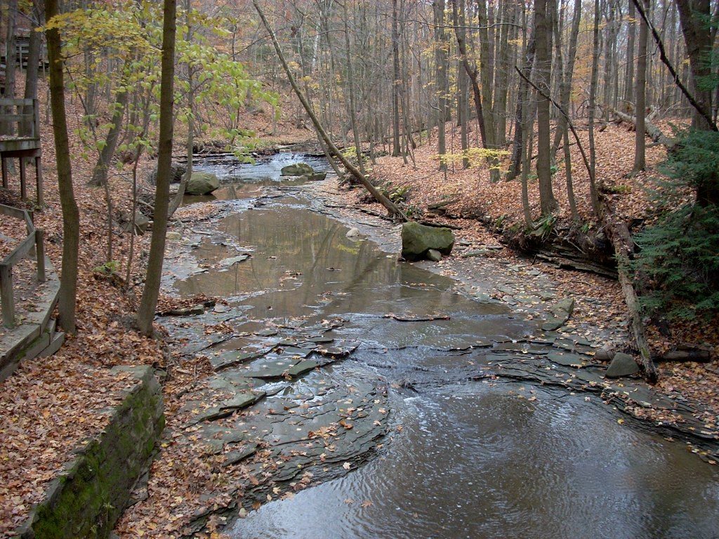 nature