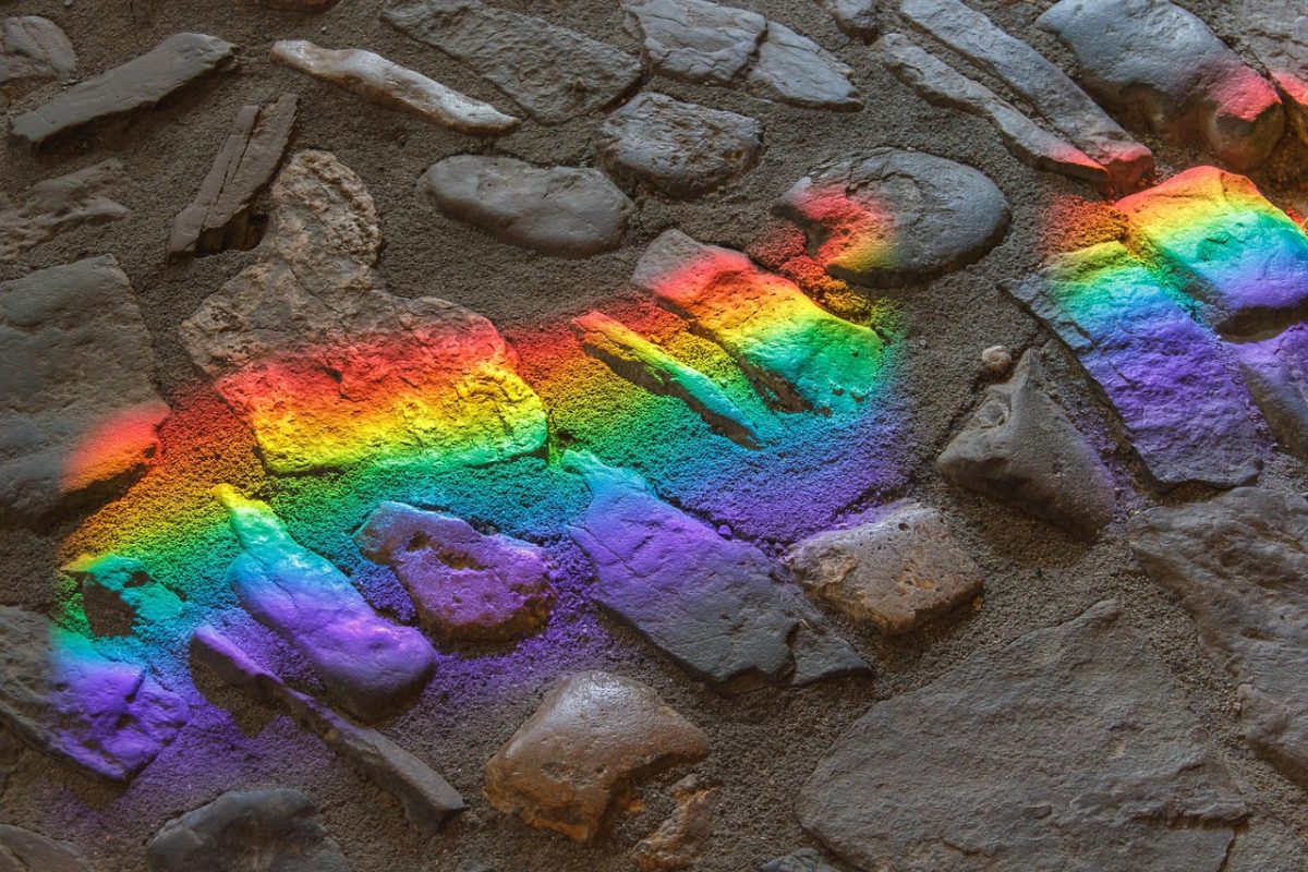 sun reflection, free background, laptop wallpaper, free wallpaper, to dye, nature, multicoloured, background, cool backgrounds, full hd wallpaper, art, abstract, hd wallpaper, desktop backgrounds, mac wallpaper, wallpaper hd, wallpaper 4k, beautiful wallpaper, 4k wallpaper 1920x1080, 4k wallpaper, coloured, rainbow, lgbtiqa, pride month, windows wallpaper, world pride