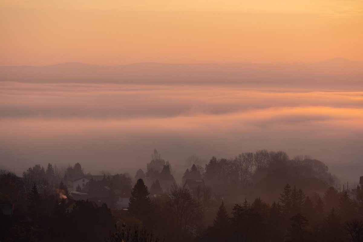 trees, fog, wallpaper 4k, foggy, forest, sky background, desktop backgrounds, full hd wallpaper, village, laptop wallpaper, free wallpaper, wallpaper hd, fall, autumn, winter, 4k wallpaper, sun, hd wallpaper, sunset, clouds, mac wallpaper, cool backgrounds, windows wallpaper, free background, sky, background, beautiful wallpaper, austria, landscape, 4k wallpaper 1920x1080, nature
