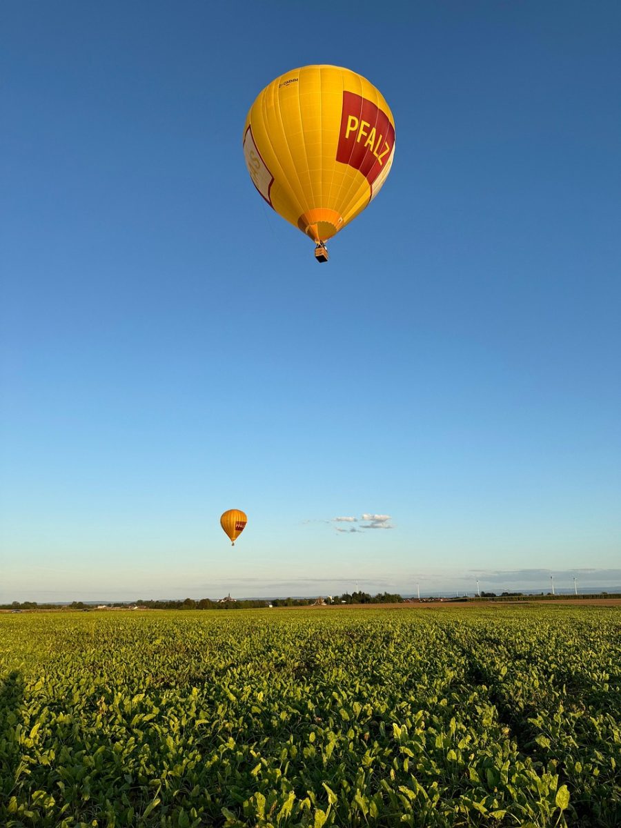 hot air balloon, field, hot air balloon ride, summer, blue sky, nature, transport, pfalz gas, werbung, werbebanner, industrie, rheinland-pfalz, deutschland, herxheim, heißluftballon, sport, abenteuer, zwei, ballons, zwei heißluftballons, pfalz gas firma, firma, banner, natur, lebensstil, hoch oben, Herxheim bei Landau/Pfalz, Rhineland-Palatinate, Germany