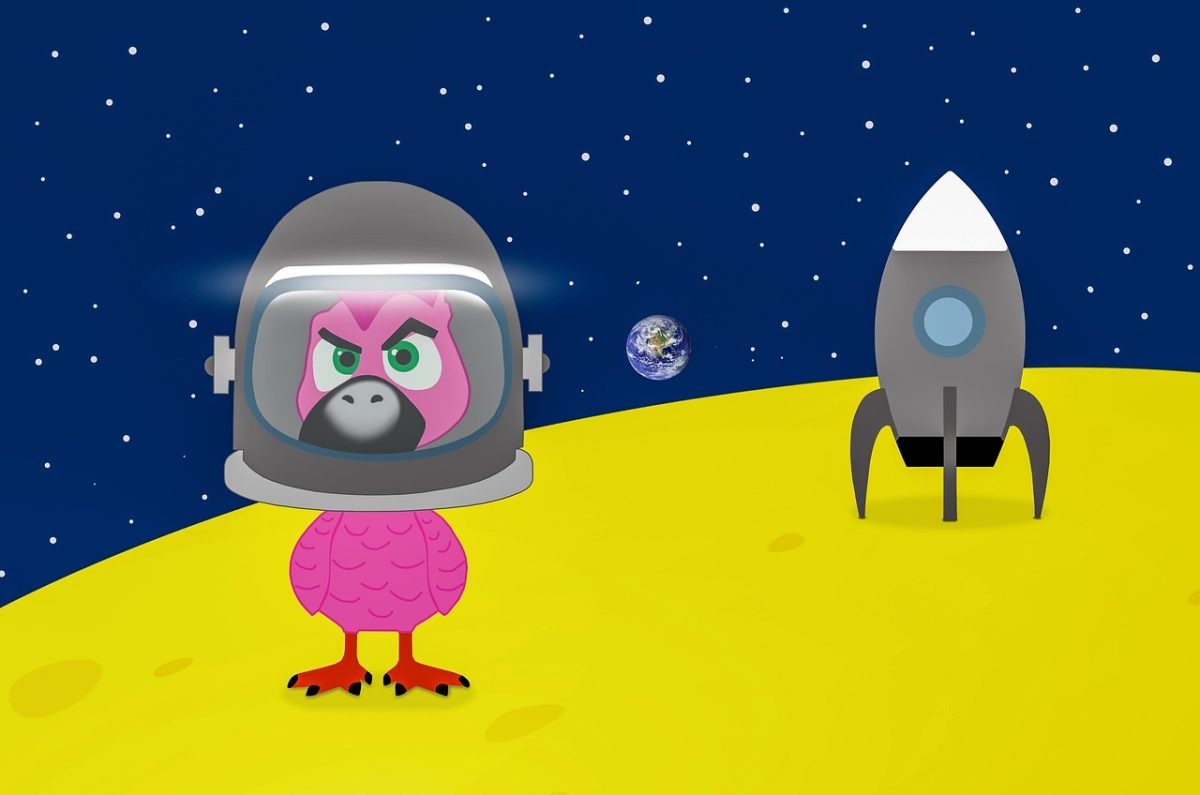 moon, spaceship, pink flamingo, space travel, astronaut, earth, stars, universe, cartoon