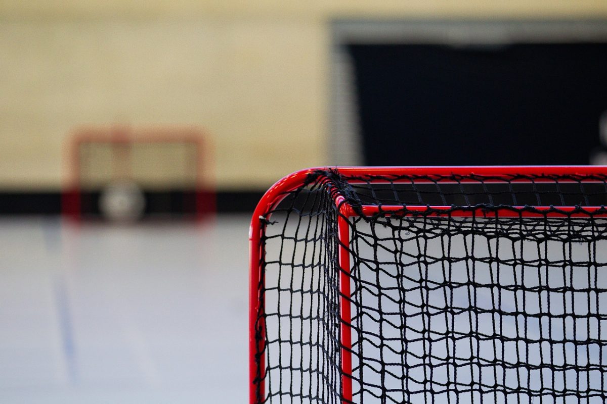 hockey, goal, net, sport, match, indoors