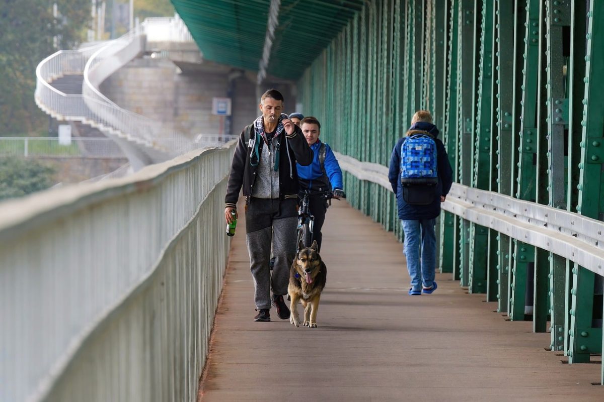 people, bridge, walking, bicyclist, dog, casual, animal, pet, transport, recreation, lifestyle, urban