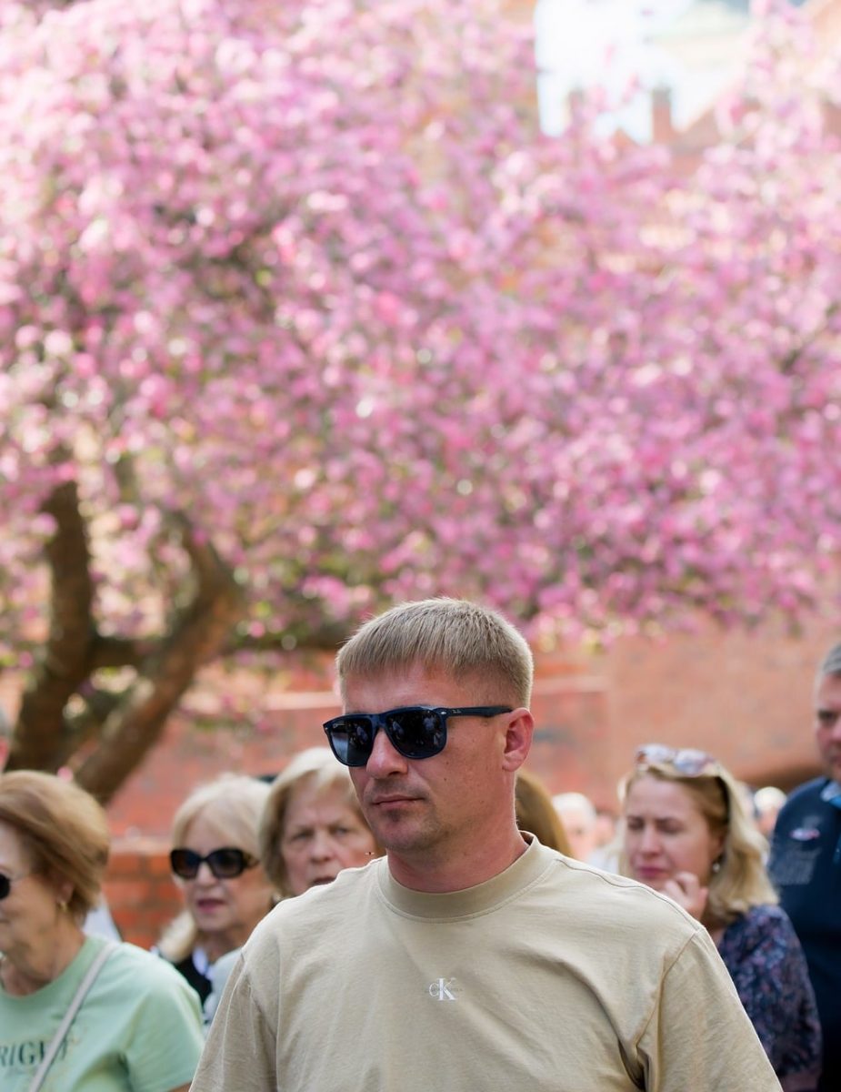 man, crowd, tourists, young, sunglasses, japanese cherry, walking, old town, people, snapshot, urban