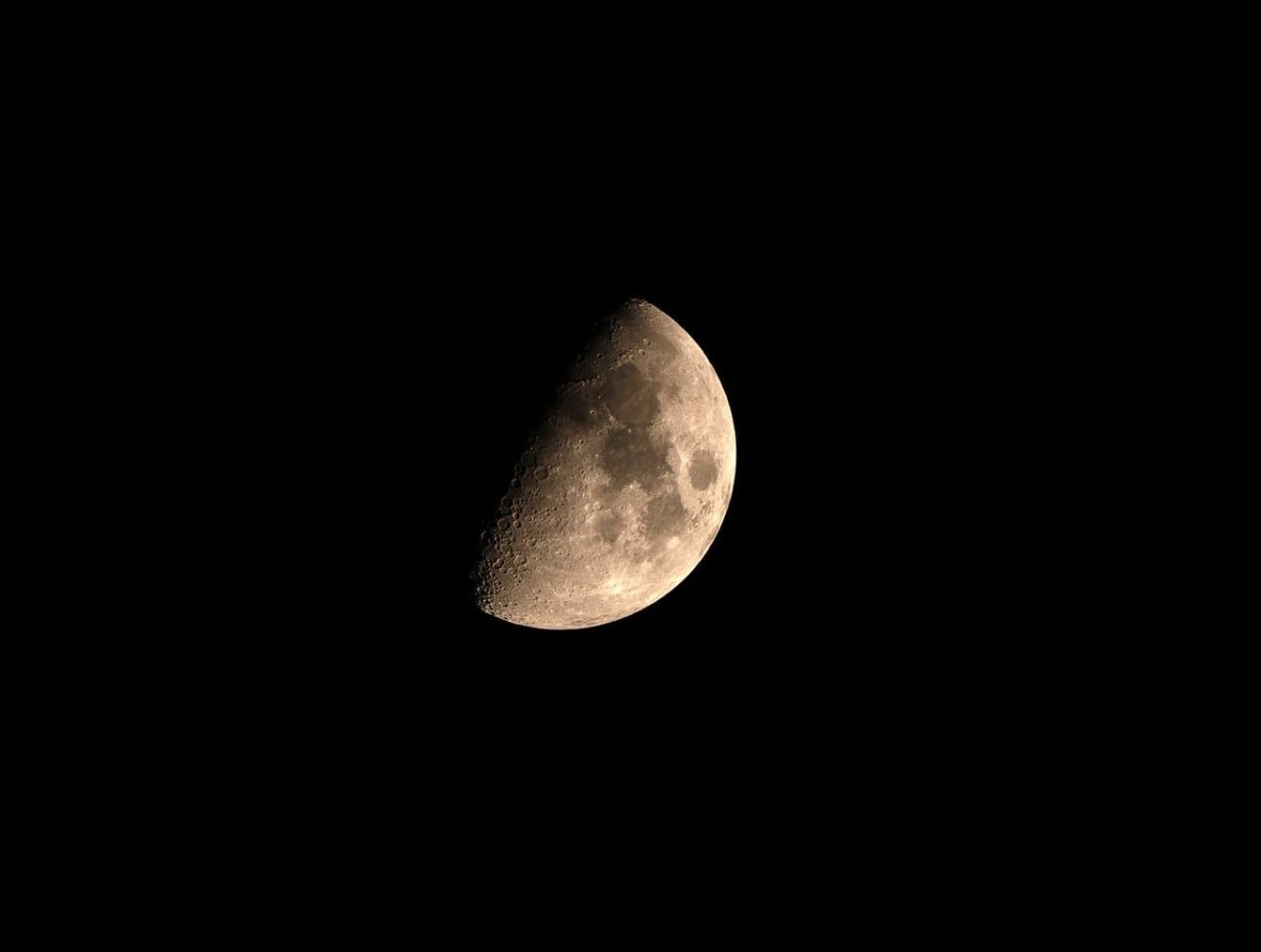 half moon, moon, night, sky, moonlight, nature, space, night sky, astronomy, half, luna, star, half-moon, evening, crescent, craters, lunar, atmosphere