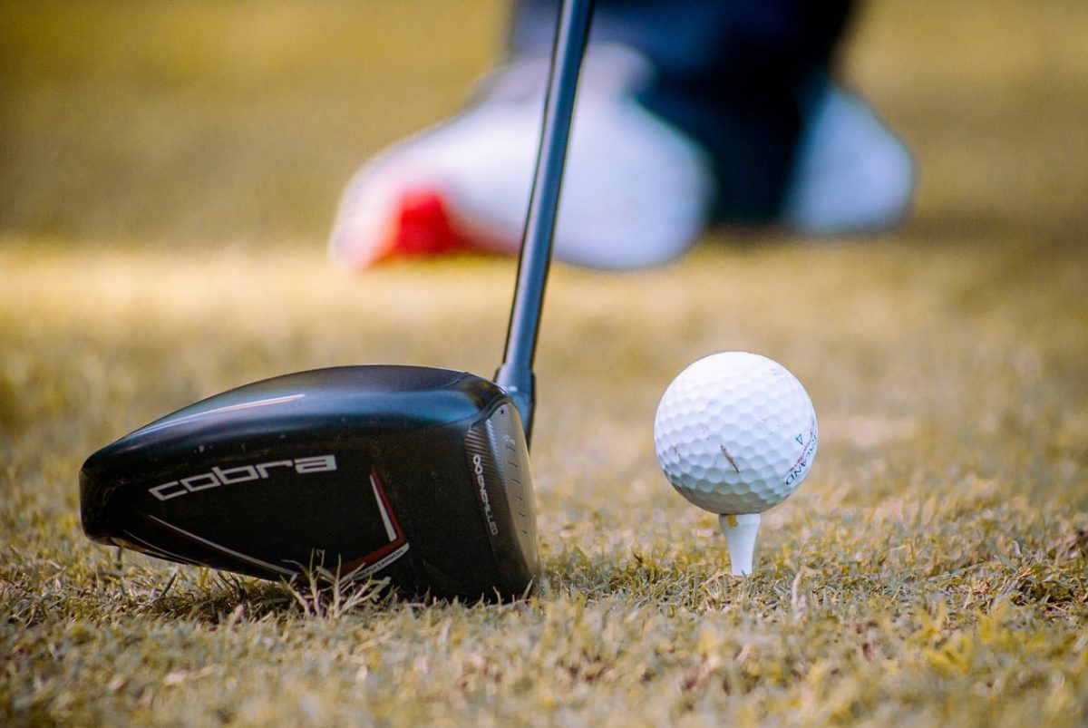 golf, golfer, golfing, recreation, play, golfed, tee, throw, hobby, leisure, player, frisbee, green, sport, game, park