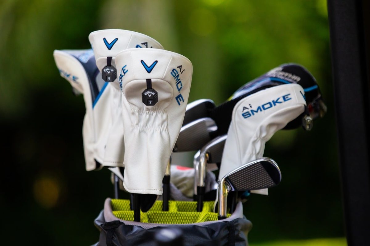 golf, golfer, golfing, recreation, play, golfed, tee, throw, hobby, leisure, player, frisbee, green, sport, game, park