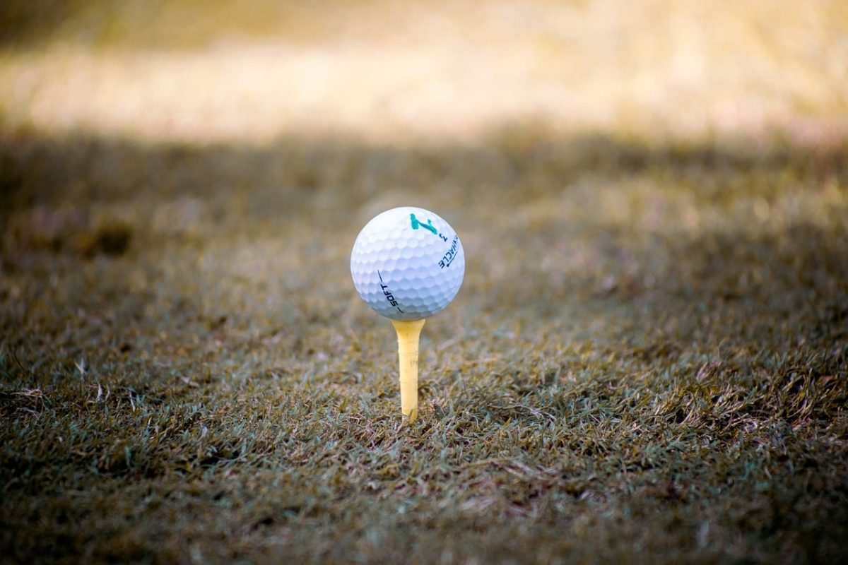 golf, golfer, golfing, recreation, play, golfed, tee, throw, hobby, leisure, player, frisbee, green, sport, game, park